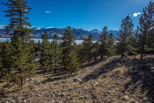 123 La Plata Peak Dr, Twin Lakes, CO 81251