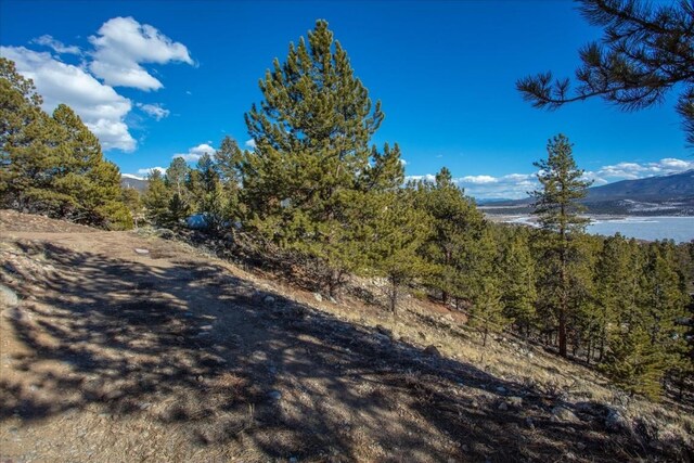 123 La Plata Peak Dr, Twin Lakes, CO 81251