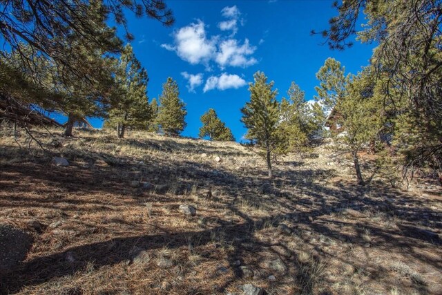 123 La Plata Peak Dr, Twin Lakes, CO 81251