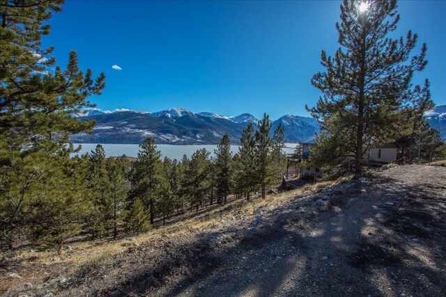 123 La Plata Peak Dr, Twin Lakes, CO 81251