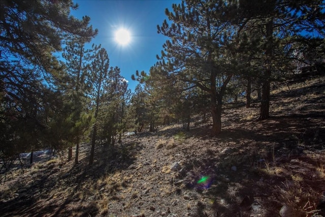 123 La Plata Peak Dr, Twin Lakes, CO 81251
