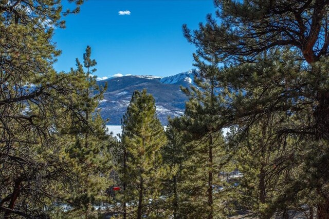 123 La Plata Peak Dr, Twin Lakes, CO 81251