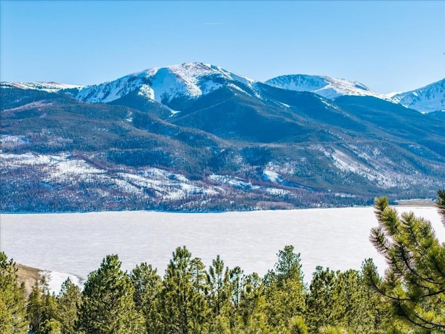 123 La Plata Peak Dr, Twin Lakes, CO 81251