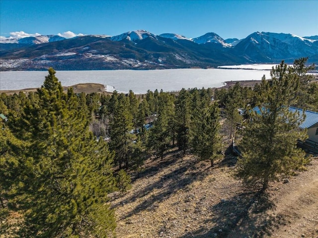 123 La Plata Peak Dr, Twin Lakes, CO 81251
