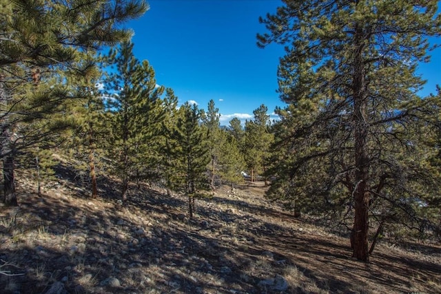 123 La Plata Peak Dr, Twin Lakes, CO 81251