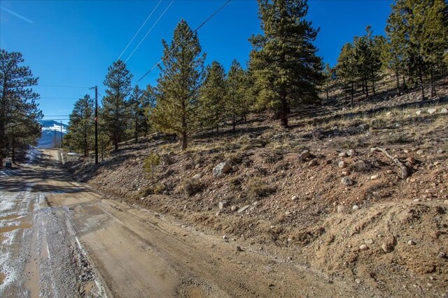 123 La Plata Peak Dr, Twin Lakes, CO 81251