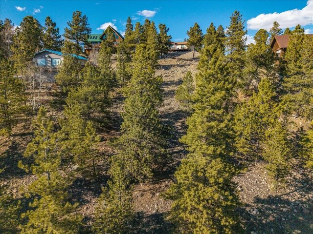 123 La Plata Peak Dr, Twin Lakes, CO 81251