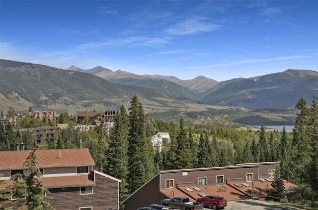 9876 Ryan Gulch Rd Unit 106, Silverthorne, CO 80498 - mountain view