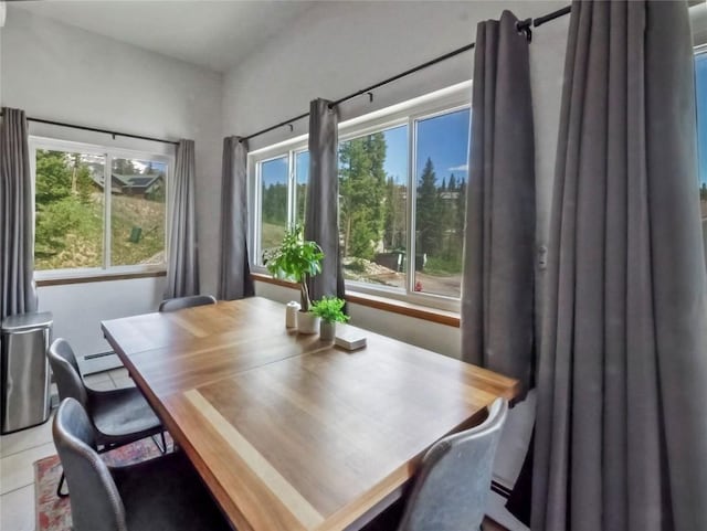 9876 Ryan Gulch Rd Unit 106, Silverthorne, CO 80498 - dining room featuring a baseboard heating unit