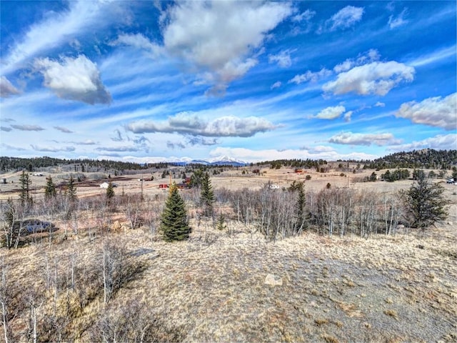 133 Highfill Rd, Jefferson, CO 80456