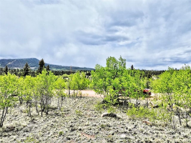 133 Highfill Rd, Jefferson, CO 80456