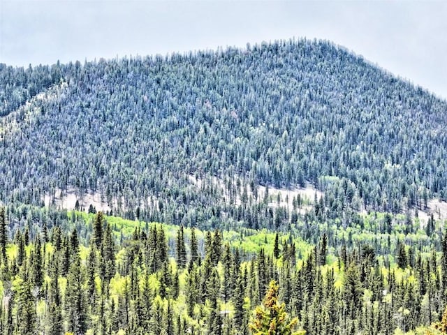 133 Highfill Rd, Jefferson, CO 80456