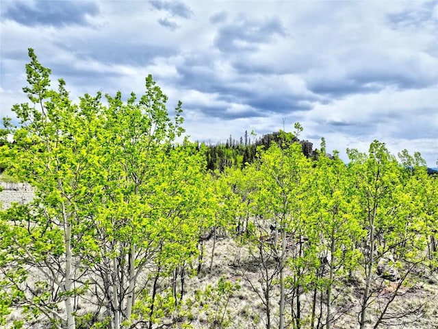 133 Highfill Rd, Jefferson, CO 80456