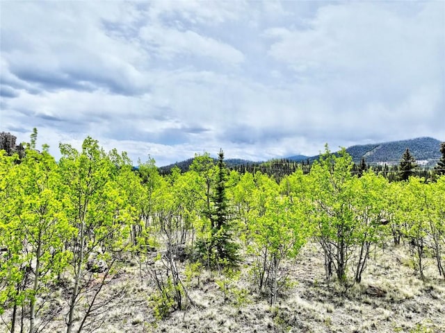 133 Highfill Rd, Jefferson, CO 80456