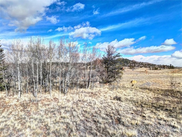 133 Highfill Rd, Jefferson, CO 80456
