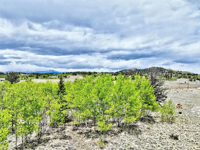 133 Highfill Rd, Jefferson, CO 80456