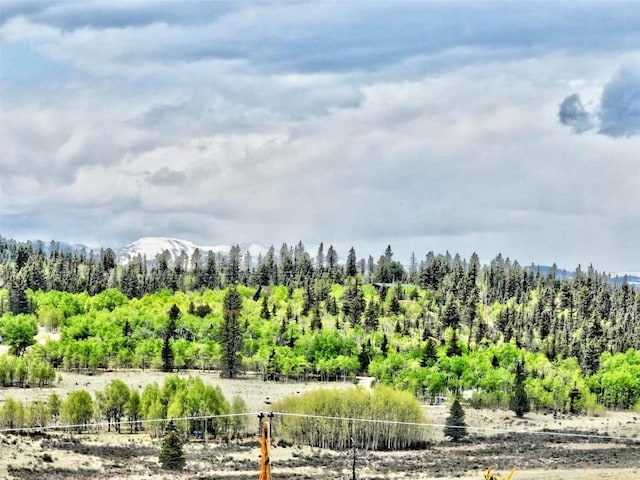 133 Highfill Rd, Jefferson, CO 80456