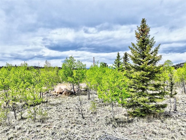 133 Highfill Rd, Jefferson, CO 80456