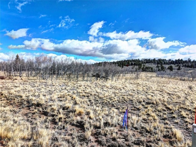133 Highfill Rd, Jefferson, CO 80456