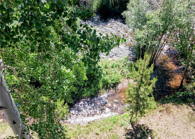 101 Forest Dr Unit K, Frisco, CO 80443 - photo 11