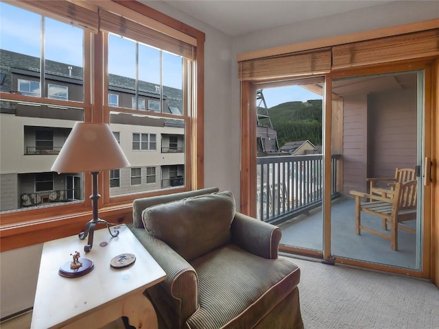 100 Dercum Sq Unit 8389, Keystone, CO 80435 - living area featuring carpet flooring