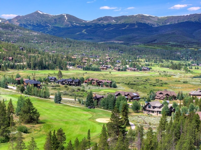 95 Gold Run Rd, Breckenridge, CO 80424 - photo 26