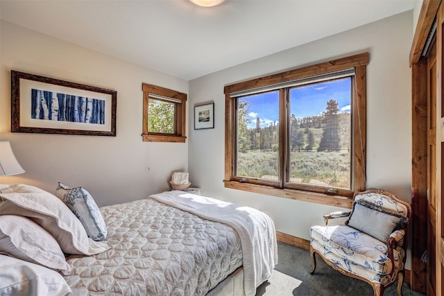 95 Gold Run Rd, Breckenridge, CO 80424 - photo 22