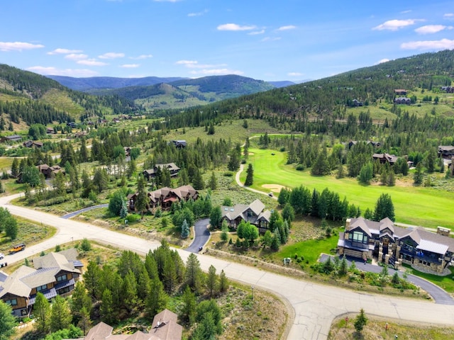 95 Gold Run Rd, Breckenridge, CO 80424 - photo 25