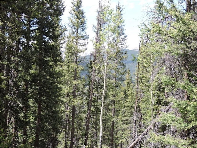 00 Georgia Pass, Lookout, Jefferson, CO 80456 - photo 1