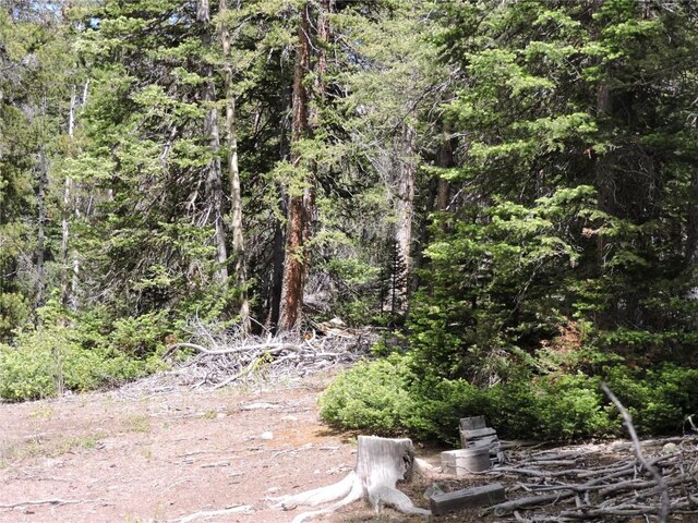 00 Georgia Pass, Lookout, Jefferson, CO 80456 - photo 2