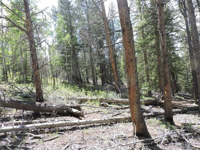 00 Georgia Pass, Lookout, Jefferson, CO 80456 - photo 12
