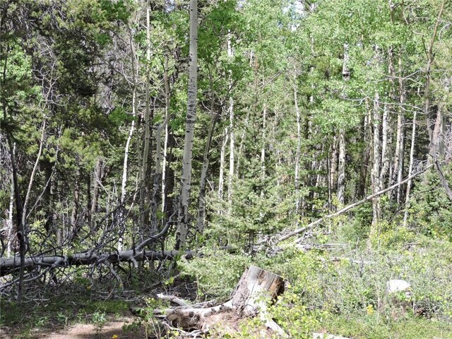 00 Georgia Pass, Lookout, Jefferson, CO 80456 - photo 3