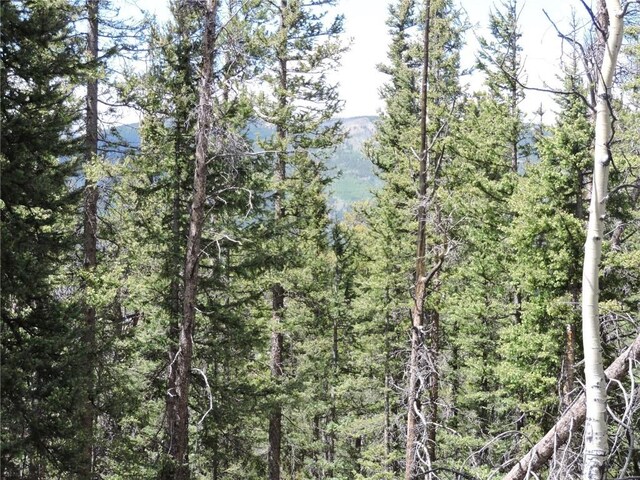 00 Georgia Pass, Lookout, Jefferson, CO 80456 - photo 5
