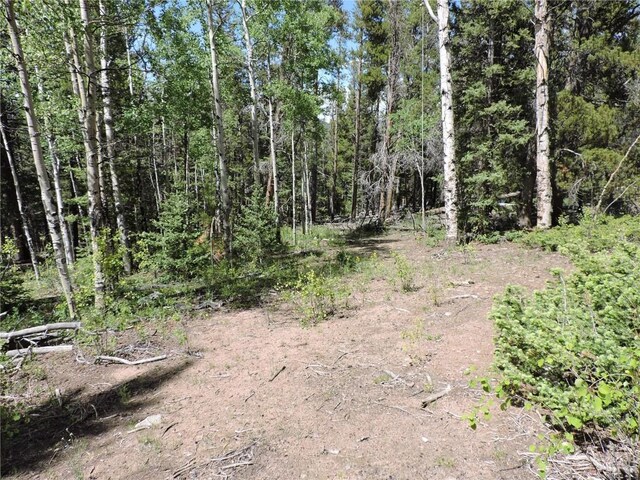 00 Georgia Pass, Lookout, Jefferson, CO 80456 - photo 7