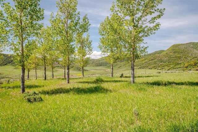 23125 Fawn Creek Rd, Steamboat Springs, CO 80487 - view of yard featuring a mountain view