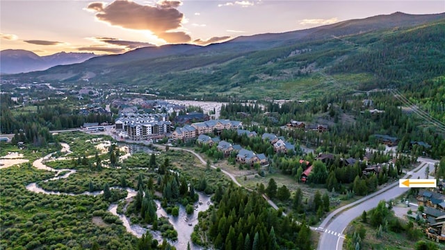 15 Stage Stop Ln, Keystone, CO 80435 - photo 50