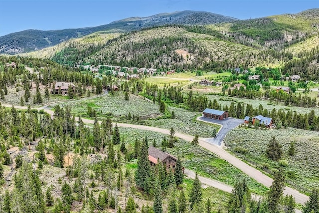 922 Braddock Dr, Breckenridge, CO 80424 - view of mountain backdrop