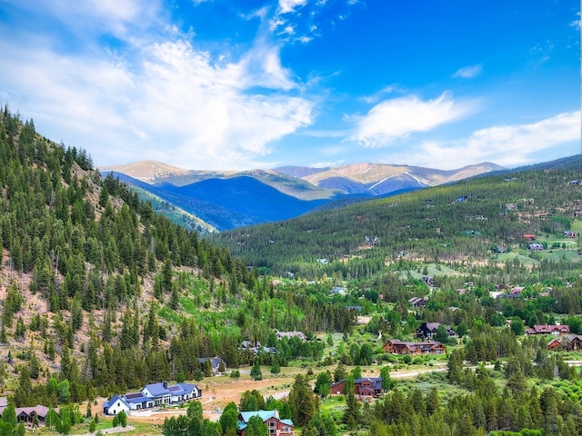 922 Braddock Dr, Breckenridge, CO 80424 - mountain view featuring a forest