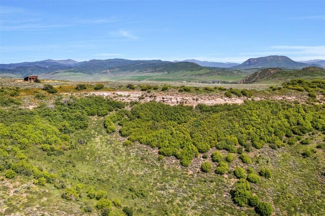 23000 Saddlebow Ln, Steamboat Springs, CO 80487 - photo 13