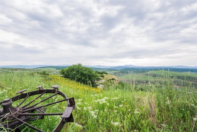 23000 Saddlebow Ln, Steamboat Springs, CO 80487 - photo 18
