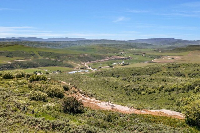 23000 Saddlebow Ln, Steamboat Springs, CO 80487 - photo 20