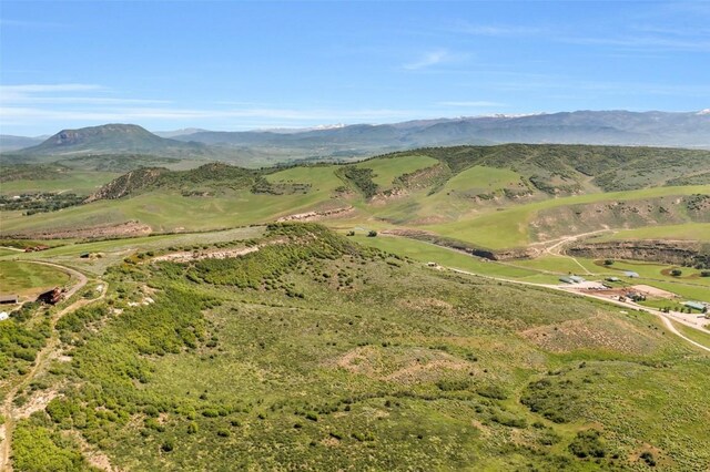 23000 Saddlebow Ln, Steamboat Springs, CO 80487 - photo 4