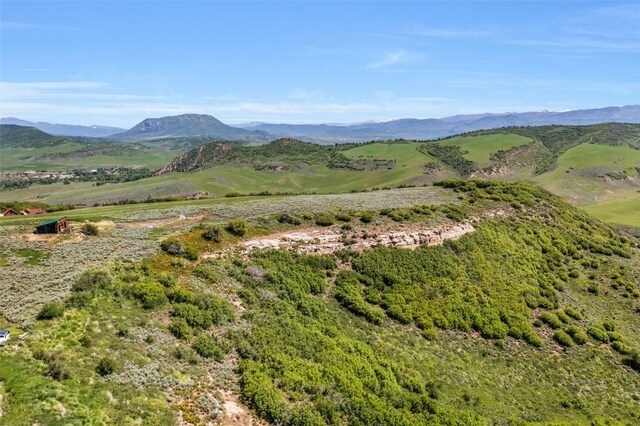 23000 Saddlebow Ln, Steamboat Springs, CO 80487 - photo 14