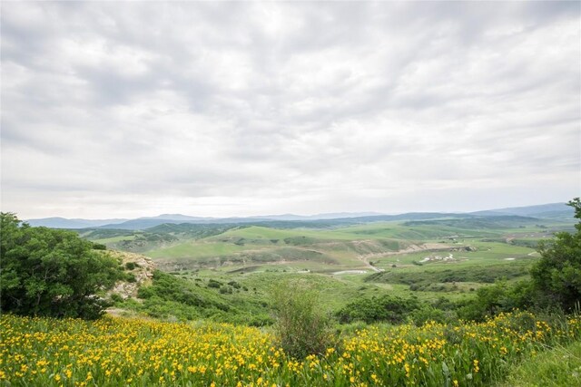 23000 Saddlebow Ln, Steamboat Springs, CO 80487 - photo 9