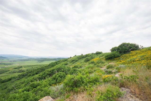 23000 Saddlebow Ln, Steamboat Springs, CO 80487 - photo 11