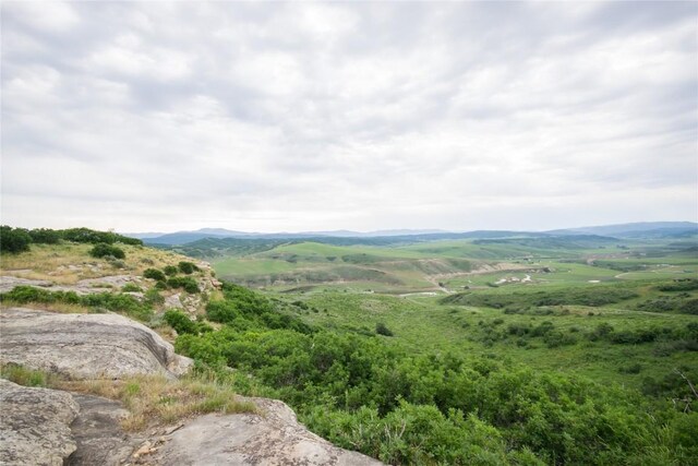 23000 Saddlebow Ln, Steamboat Springs, CO 80487 - photo 8