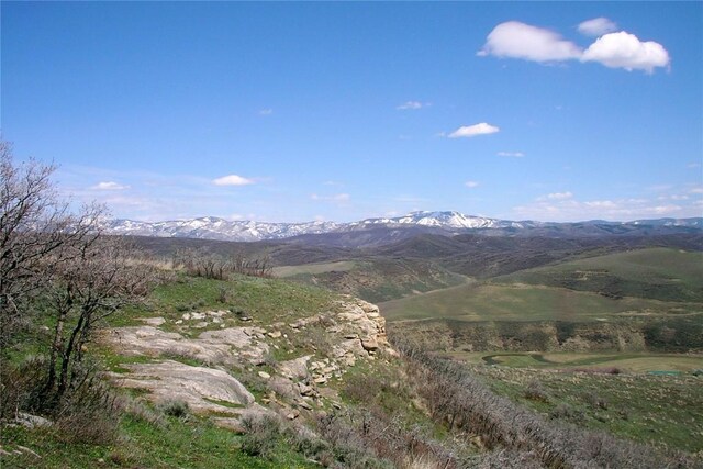 23000 Saddlebow Ln, Steamboat Springs, CO 80487 - photo 26