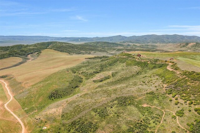 23000 Saddlebow Ln, Steamboat Springs, CO 80487 - photo 2