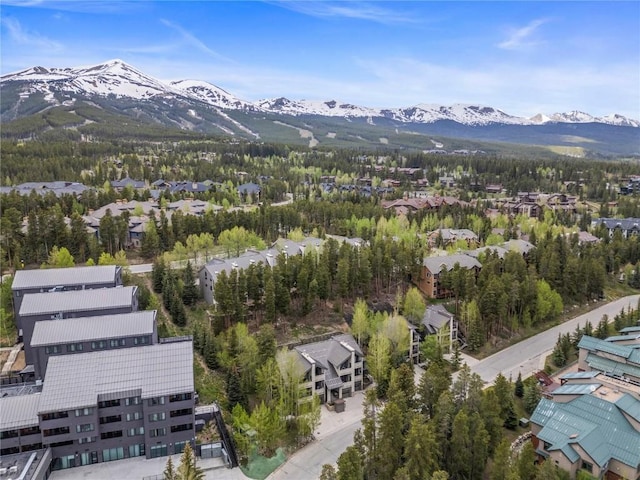 517 Primrose Path Unit 517, Breckenridge, CO 80424 - aerial view of a mountainous background