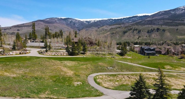2911 Ninth Green Ct, Silverthorne, CO 80498